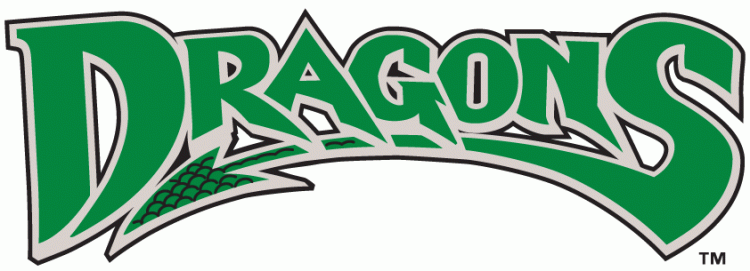 Dayton Dragons 2000-pres wordmark logo iron on transfers for T-shirts